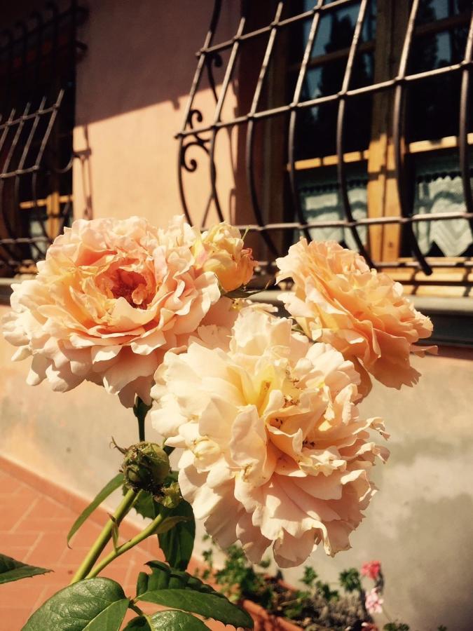 パンツァーノ Rosso Del Chianti Bed & Breakfast エクステリア 写真