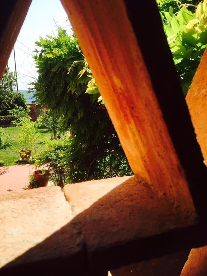 パンツァーノ Rosso Del Chianti Bed & Breakfast エクステリア 写真