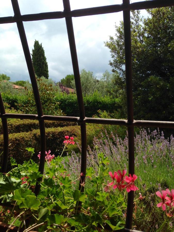 パンツァーノ Rosso Del Chianti Bed & Breakfast エクステリア 写真
